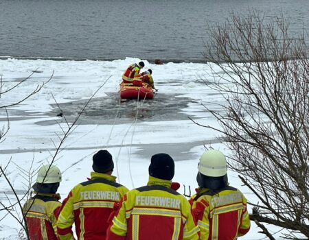 Tierrettung aus Elbe